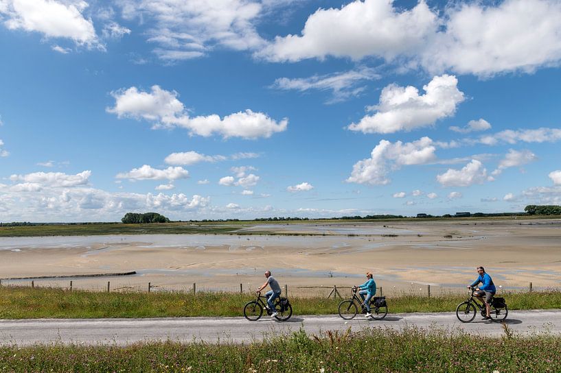 Cadzand Zeeland Niederlande Blick auf das Natura 2000-Naturschutzgebiet Het Zwin, von Richard Wareham
