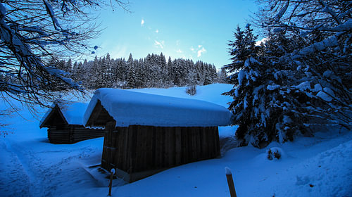 Kochelbergalm