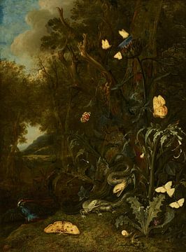 Planten en insecten, Otto Marseus van Schrieck