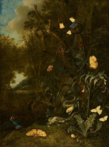 Planten en insecten, Otto Marseus van Schrieck