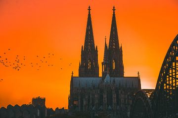 "Kölner Sonnenuntergang: Ein zeitloser Klassiker" von Alexander Aboud