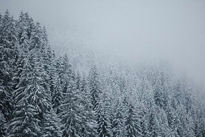 Besneeuwde bomen | Oostenrijk | van Marika Huisman fotografie
