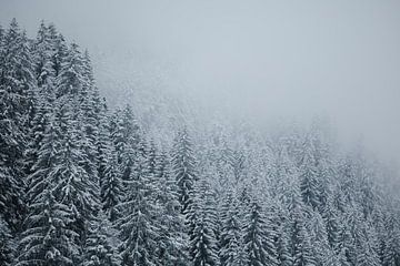 Verschneite Bäume | Österreich von Marika Huisman fotografie