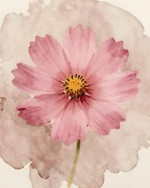 Rosa Blütentraum von Kristin M