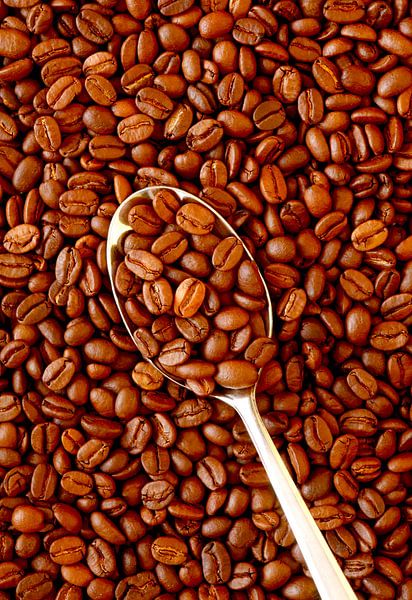 Coffee time by Thomas Jäger