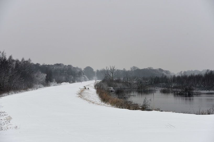 Winterlandschap by Tinus Tibbe