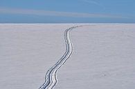 Spur im Schnee von Peter Bergmann Miniaturansicht