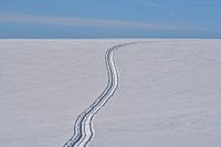 Spur im Schnee