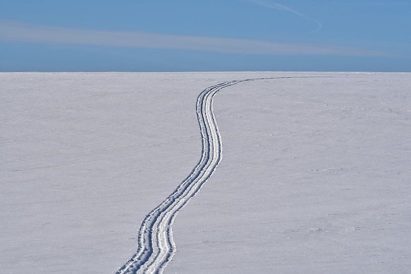 Spur im Schnee von Peter Bergmann