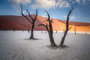 Restez debout et sans être dérangé sur Loris Photography