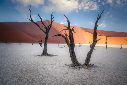 Ongestoord staande blijven