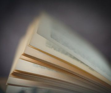 Pagina's boek van Li-Bro