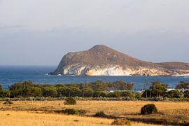 La langue de terre sur Cornelis (Cees) Cornelissen