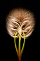 abstract art