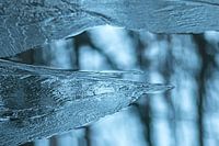 IJsstructuren op winters water
