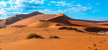 Die roten Dünen von Sossusvlei in den Morgen, Namibia von Rietje Bulthuis