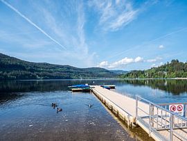 Passerelle au Titisee dans la Forêt-Noire sur Animaflora PicsStock