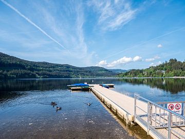 Passerelle au Titisee dans la Forêt-Noire sur Animaflora PicsStock