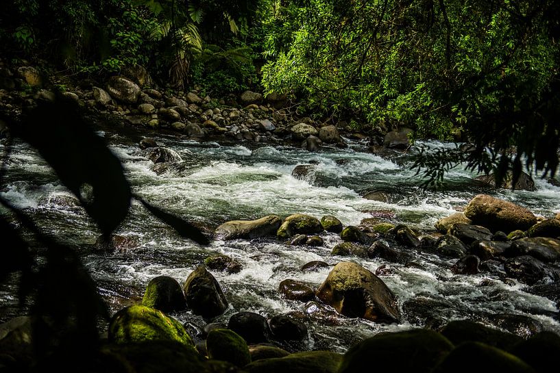 Plätschernder Fluss von Sander Verhoeven
