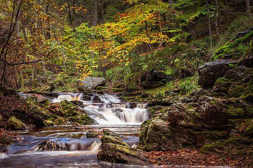 Die Hoëgne im Herbst von Walter Roost