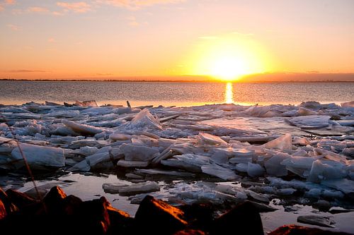 Winterlandschap langs het water bij Almere