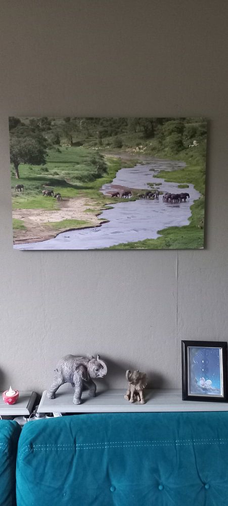 Une troupe d'éléphants traverse une rivière  par Peter van Dam 