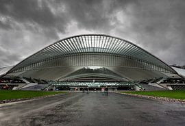 Station Luik-Guillemins  by Liesbeth   Li-Fotografie