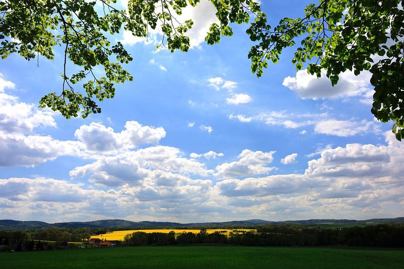 Landscape with rape by Thomas Jäger