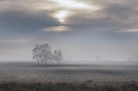 Grundlegende Landschaft