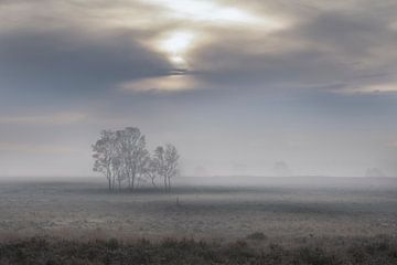 Basic landscape van Gerard Stasse Fotografie