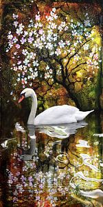 Schwan im Bluetenmeer