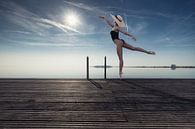 Windstil Ballet van Arjen Roos thumbnail