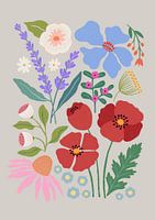 Mohnblumen und Lavendelwiese