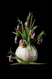 Fritillaria by Simone Karis