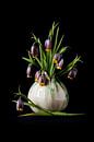 Fritillaria van Simone Karis thumbnail