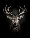 dramatic portrait of a red deer with large antlers by Margriet Hulsker thumbnail