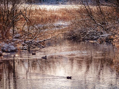 Zonsondergang bij de rivier