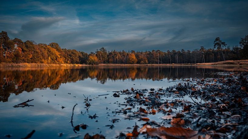 Galderse heide te Breda meer van iwan faber