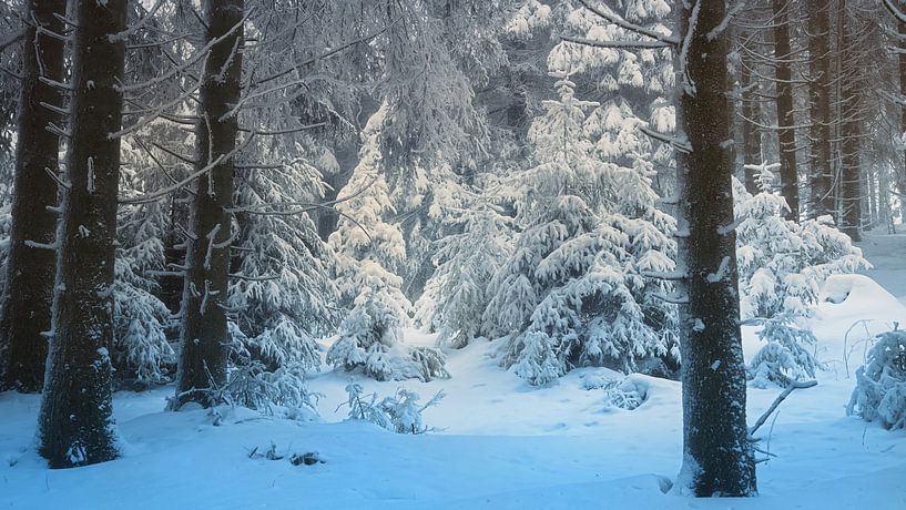 Winterlandschap van Bo Valentino