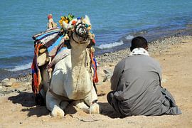 Man with Camel by Jolanta Mayerberg
