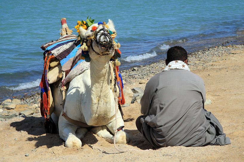 Mann mit Kamel von Jolanta Mayerberg