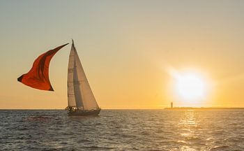 Sich näherndes Boot im Hafen von IJmuiden