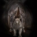 Mother and child, rhino by Bert Hooijer thumbnail