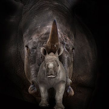 Mère et enfant, rhinocéros sur Bert Hooijer