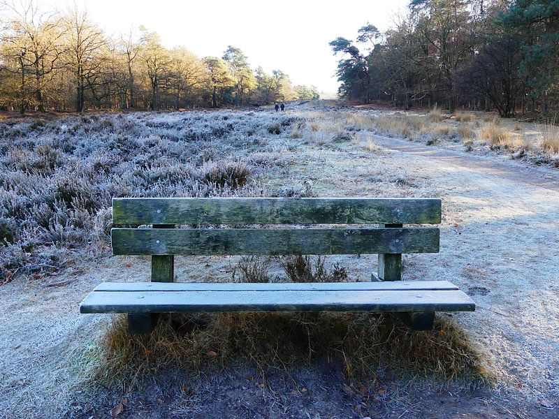 Eenzame bank op Landgoed Warnsborn by Petra Dielman
