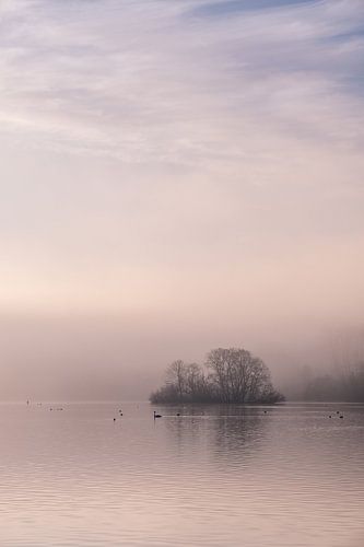 A morning at the Kralingse Plas