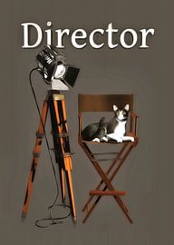 Cats: Director