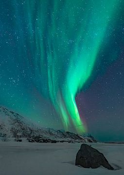 Noorderlicht in de donkere sterrenhemel in de winternacht van Sjoerd van der Wal Fotografie