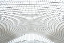 Treinstation Luik von Sophie Wils