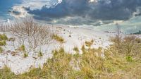 Duin bij Schoorl ook wel de Schoorlse duinen van eric van der eijk thumbnail